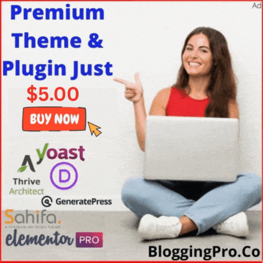 cheap Premium WordPress Plugins and Themes